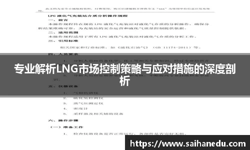 专业解析LNG市场控制策略与应对措施的深度剖析